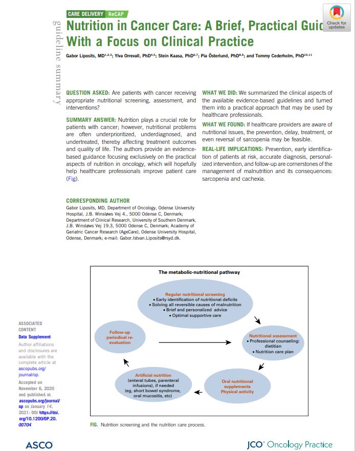 Artikkel: Nutrition in cancer care