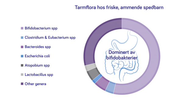 Figur 1: Utviklet av Nutricia (3-5)