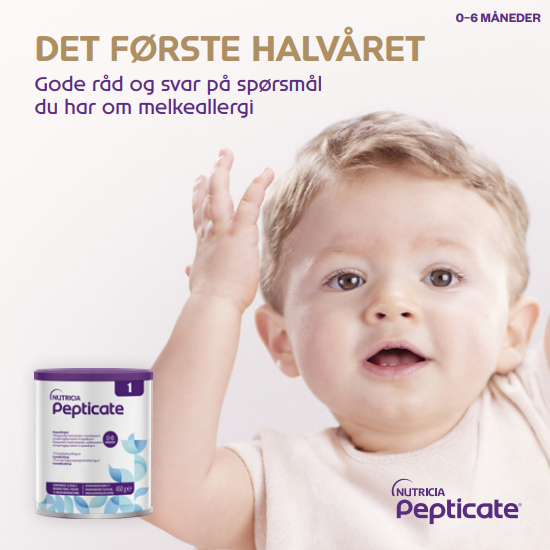 Det første halvåret